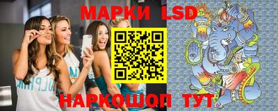спиды Кингисепп