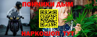 спиды Кингисепп