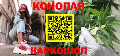 спиды Кингисепп