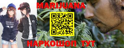 спиды Кингисепп