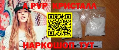 спиды Кингисепп