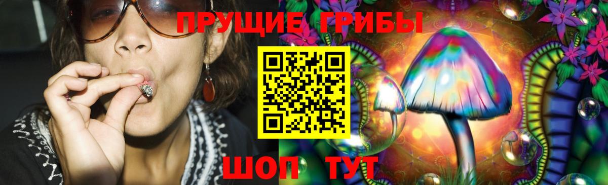Галлюциногенные грибы GOLDEN TEACHER  Вход с VPN  Костомукша  Псилоцибиновые грибы прущие грибы 